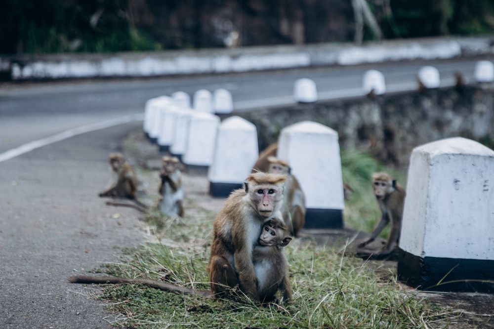 Photograph by Анна Гвоздовская