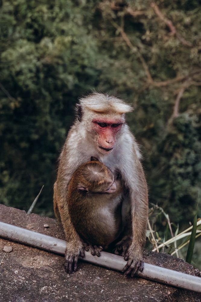 Photograph by Анна Гвоздовская