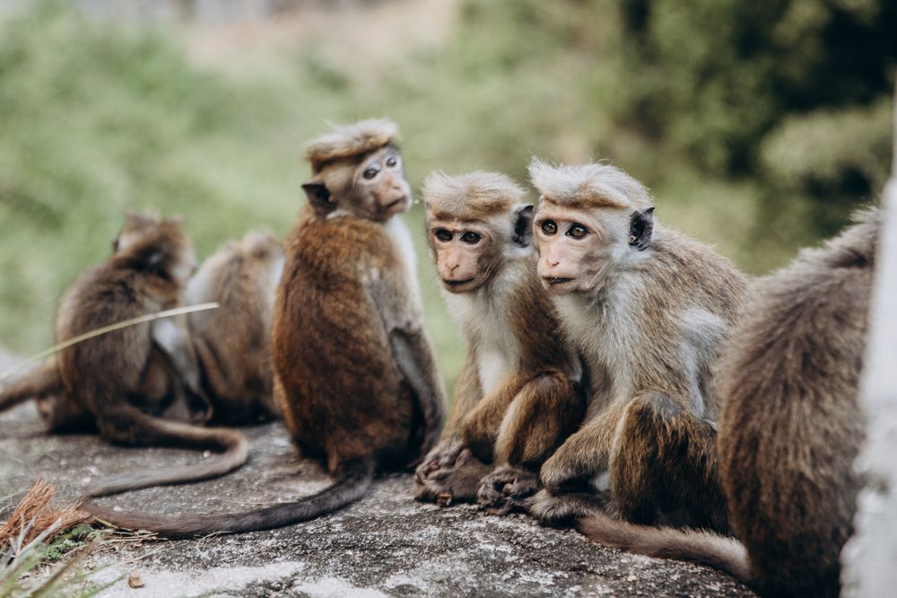 Photograph by Анна Гвоздовская