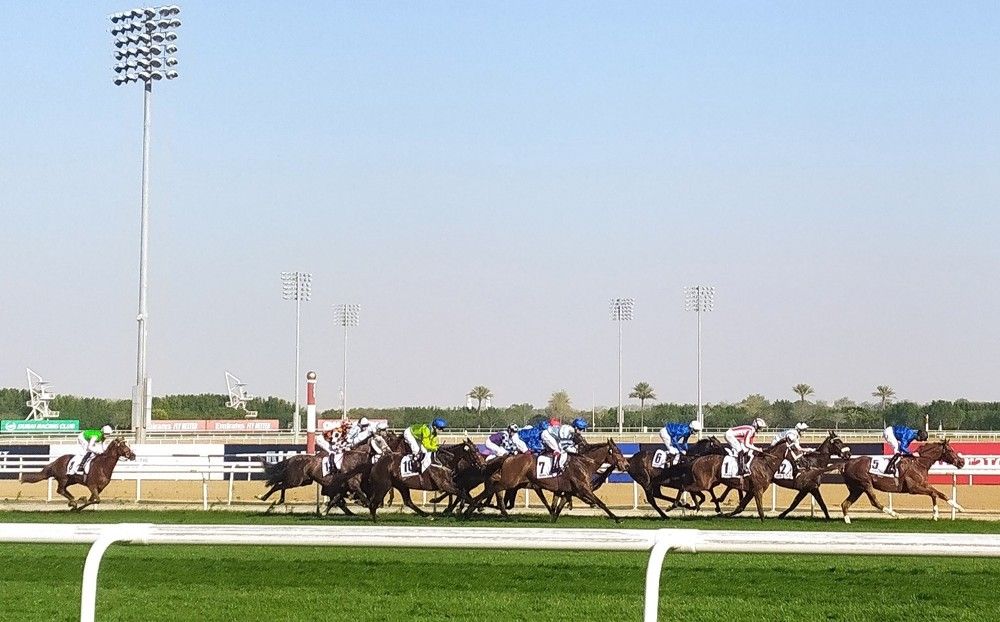 Фотография автора Елена Александрова