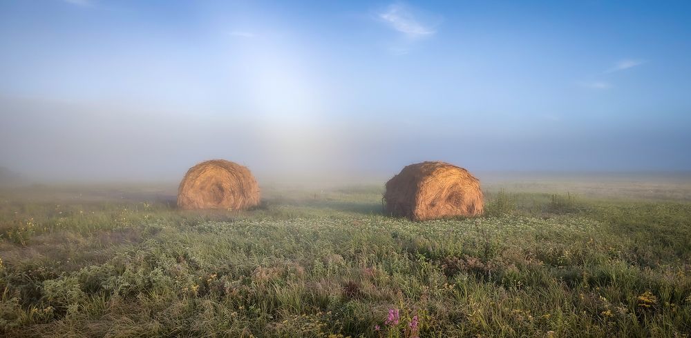 Photograph by Владимир Коновалов