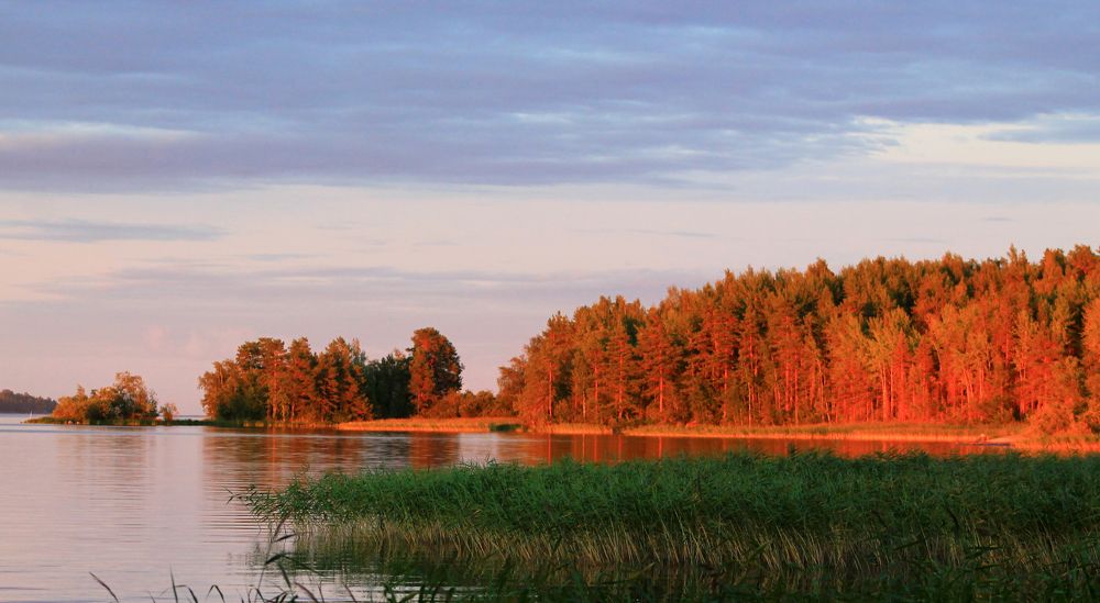Photograph by Александр Семенов