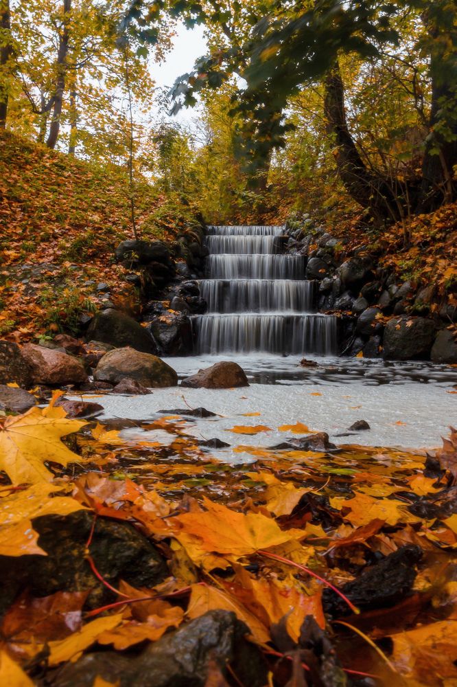 Photograph by Николай Зорин