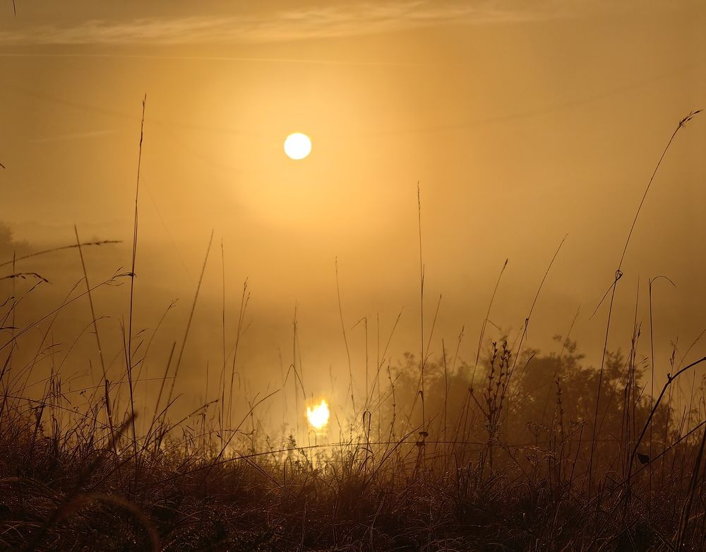 Photograph by Maiya Bulatova