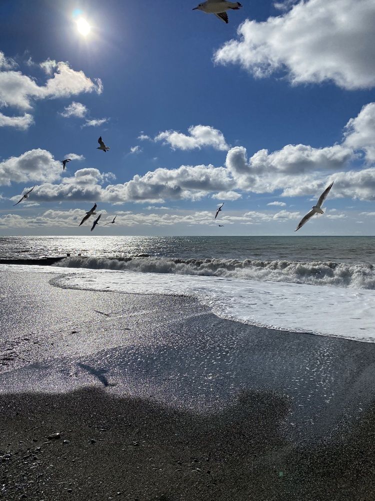 Фотография автора Александр Заикин
