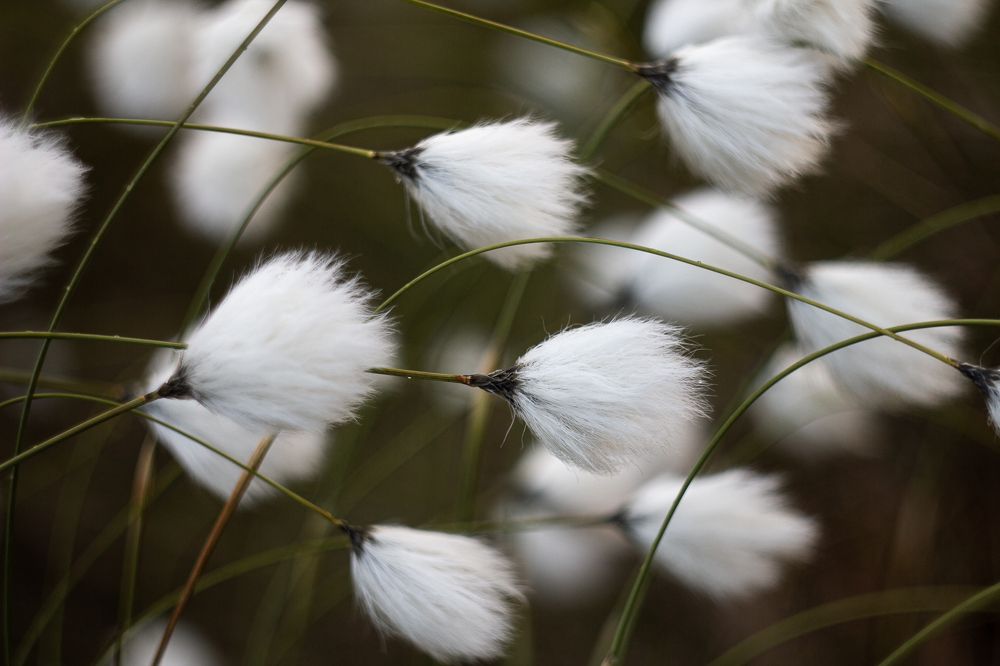 Photograph by Vera Komarova