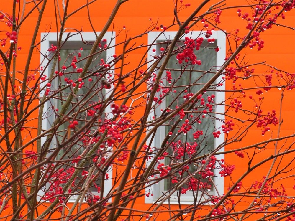 Photograph by Людмила Кононова