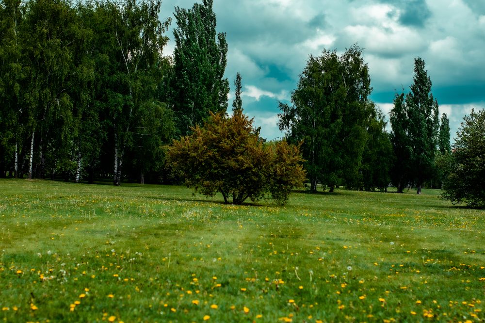 Photograph by Сергей Аникушин