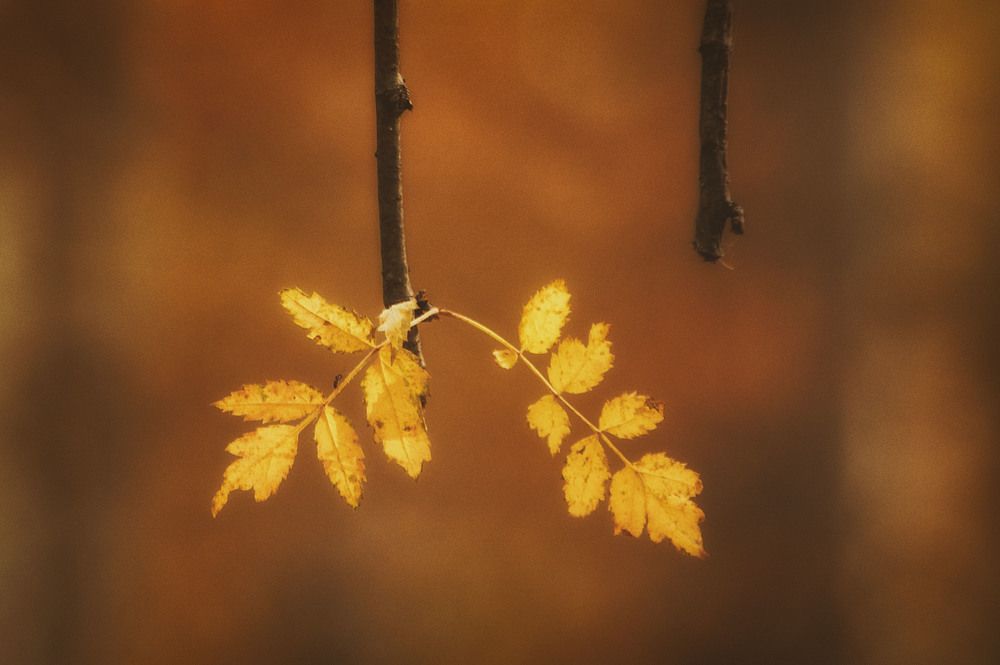 Photograph by Юлия Лушникова