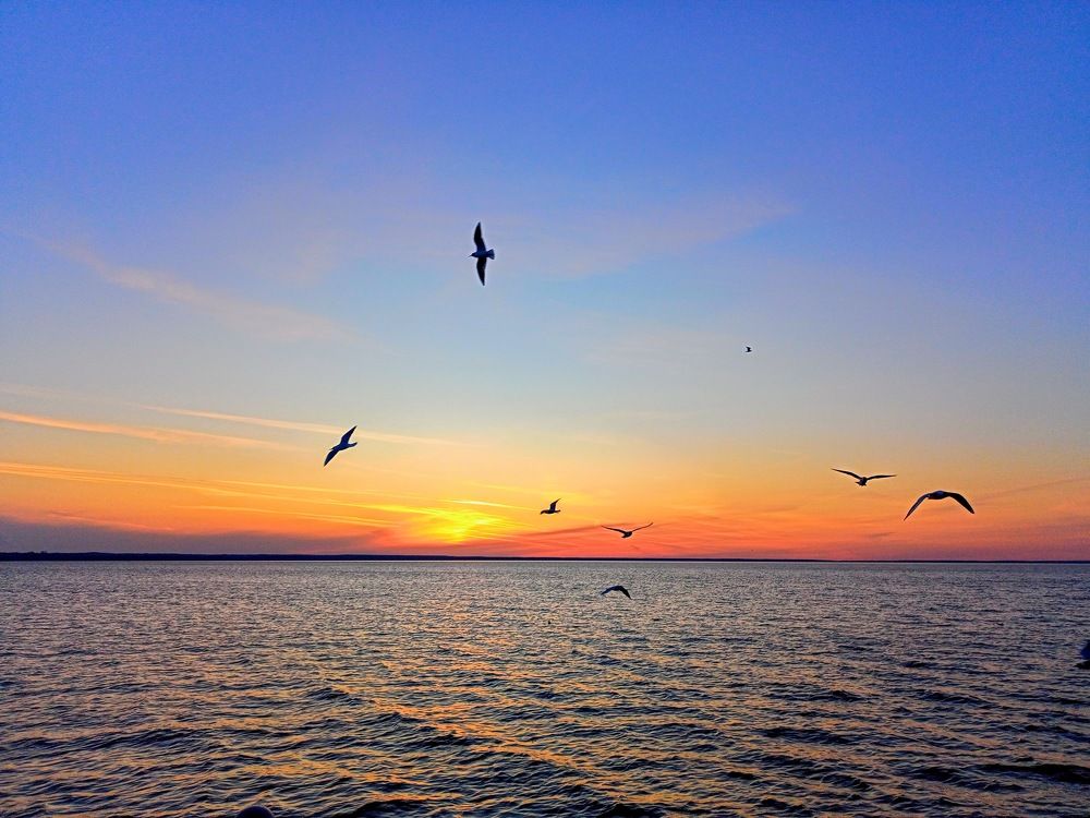 Photograph by Анна