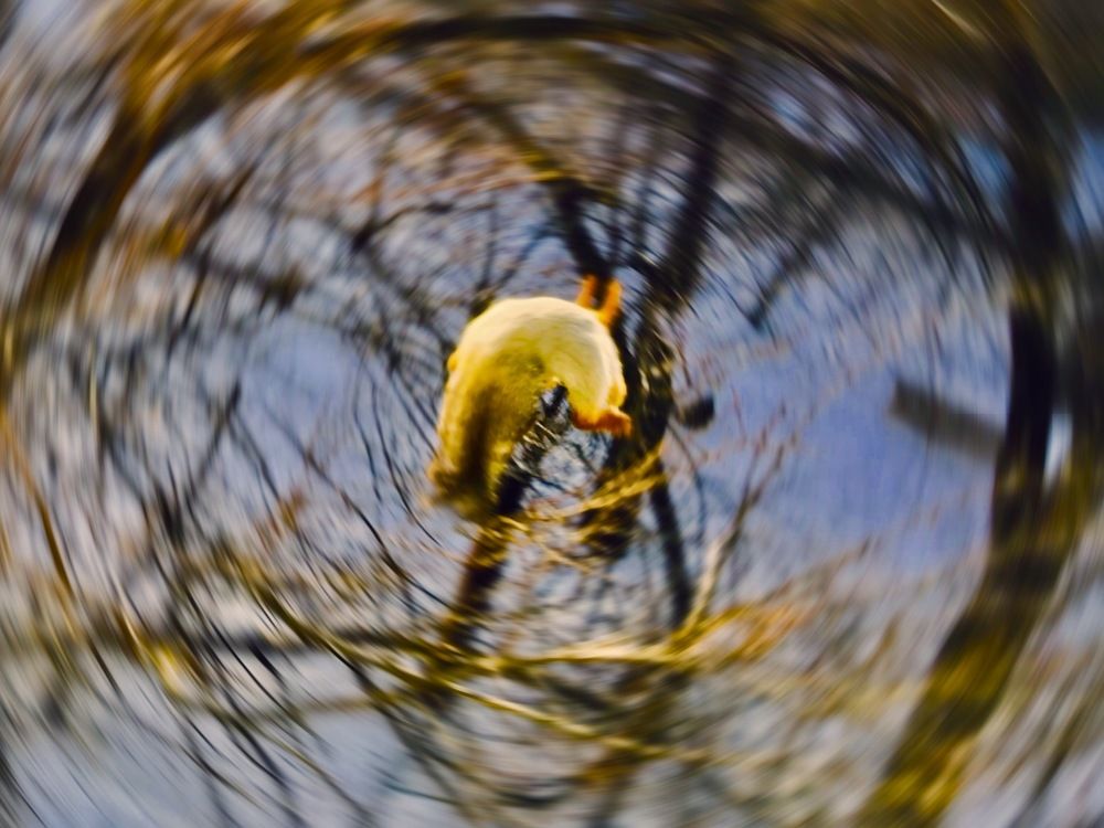 Photograph by Елена Ким