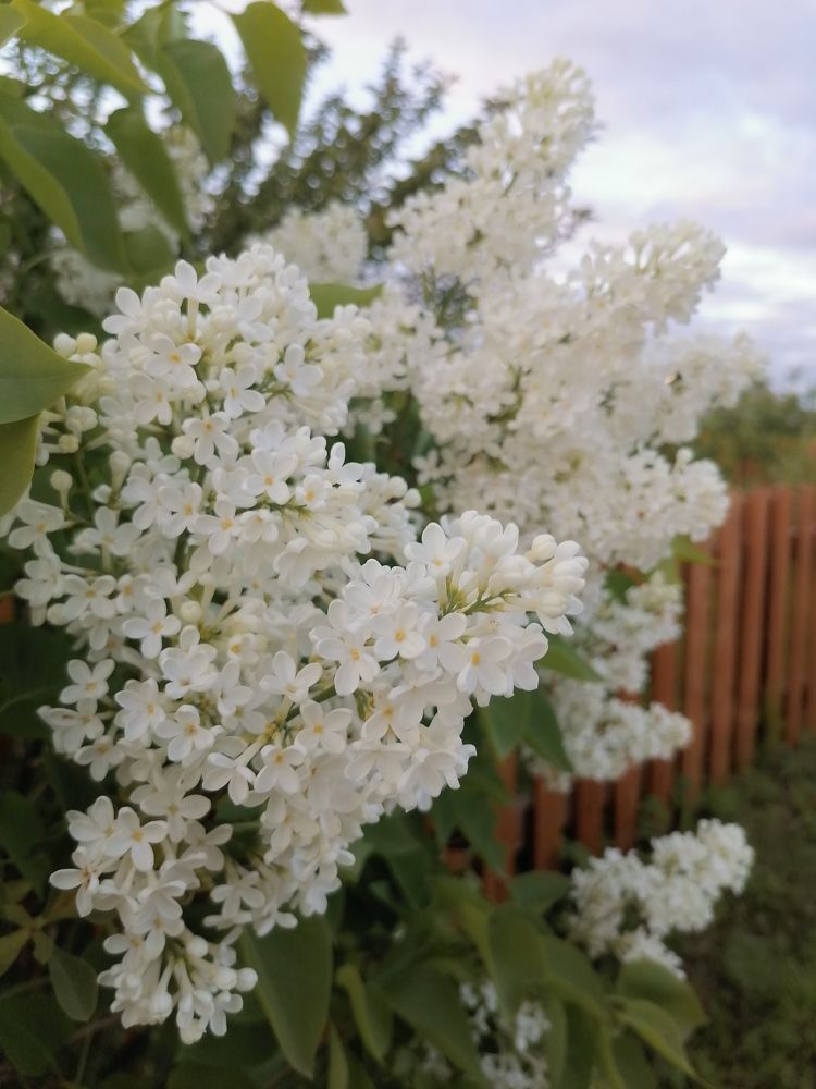 Photograph by Татьяна Бешенкина