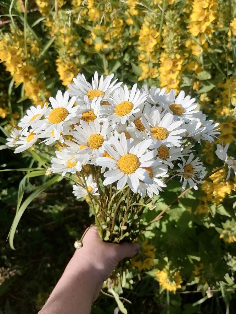 Photograph by Татьяна Бешенкина