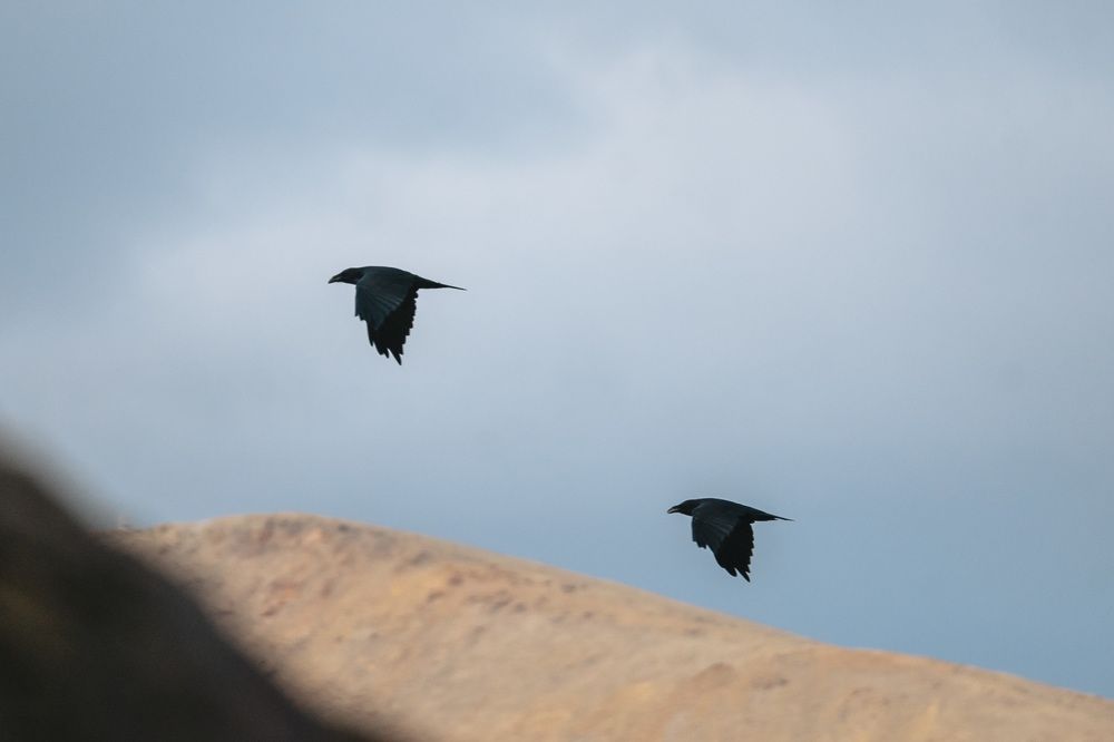 Photograph by Алёна Явтушенко