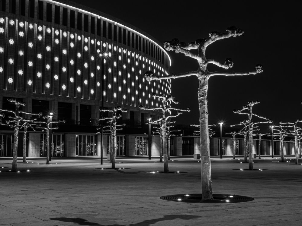 Photograph by Антон Данилов