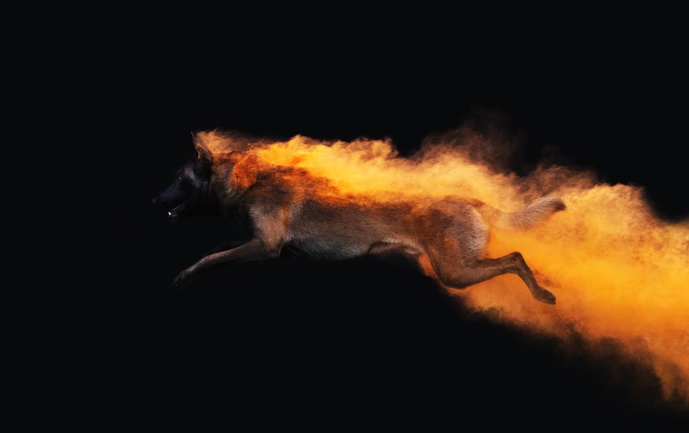 Photograph by leticia pascual garcia