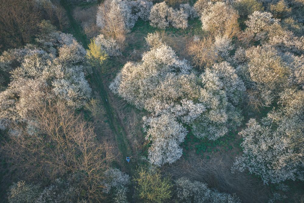 Photograph by Павел Купрэвіч