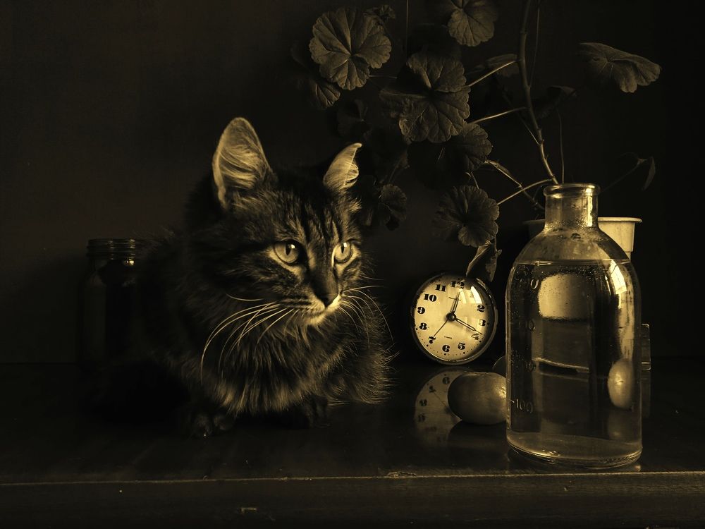 Photograph by Евсеева Валентина