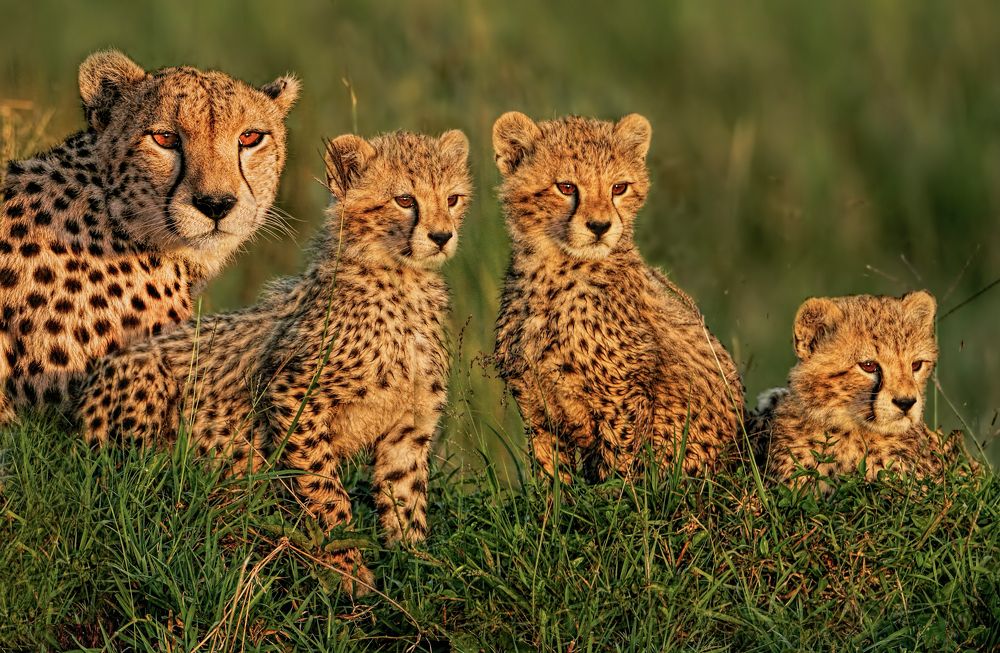 Photograph by Graeme Guy