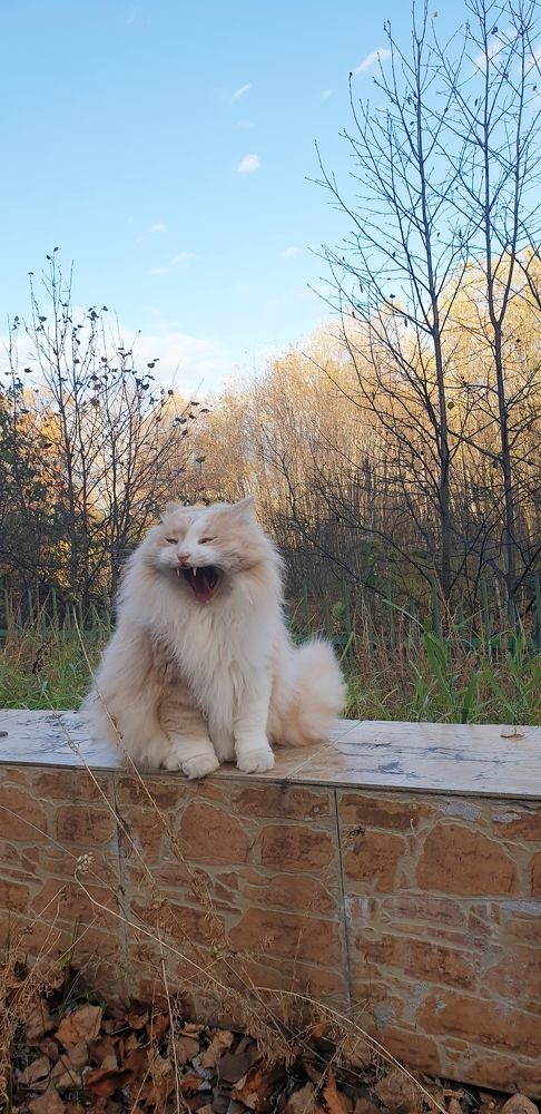 Фотография автора Татьяна Канашина