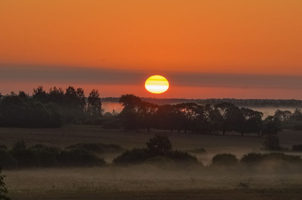 Photograph by T.Ю. Гринько