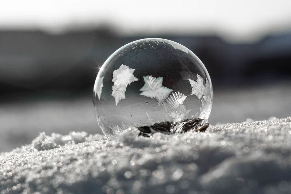 Photograph by Людмила Прибылова