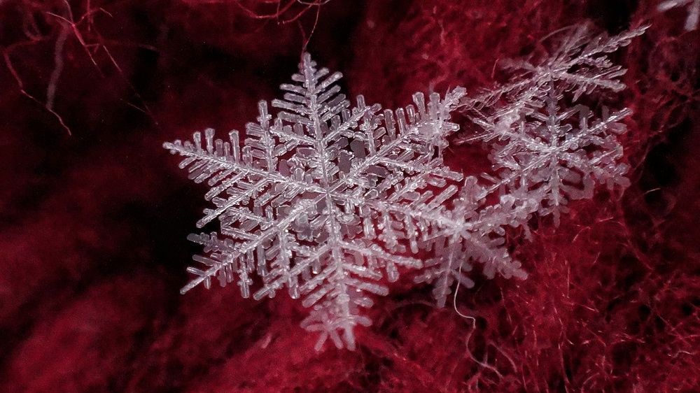 Photograph by Елена Силантьева