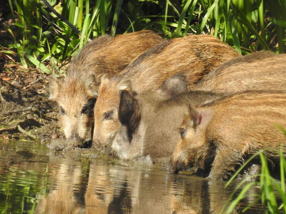 Photograph by Георгий Салюков