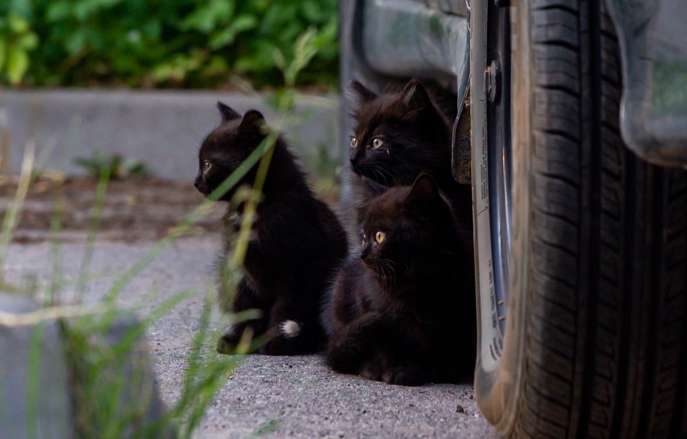 Photograph by Ilyin Evgeny