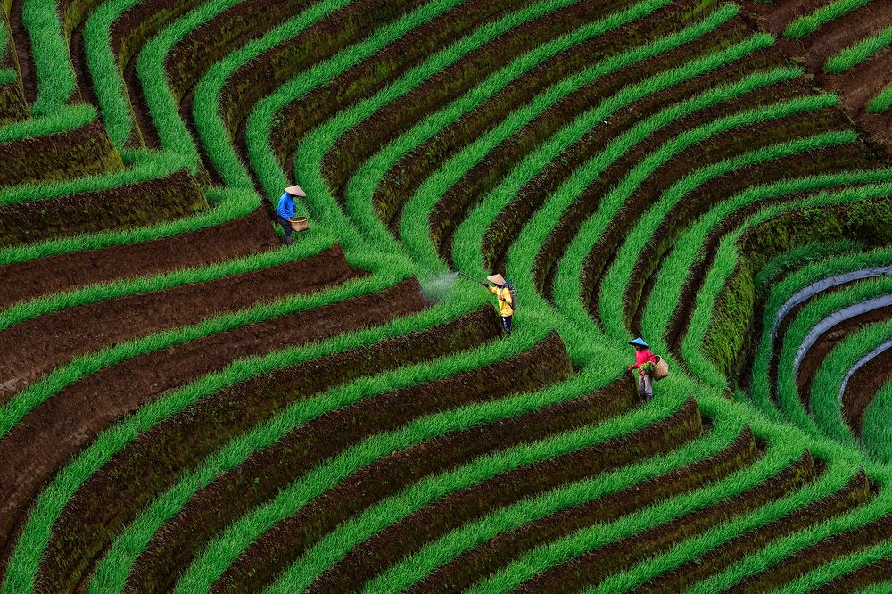 Photograph by Lugyanti Sukrisman