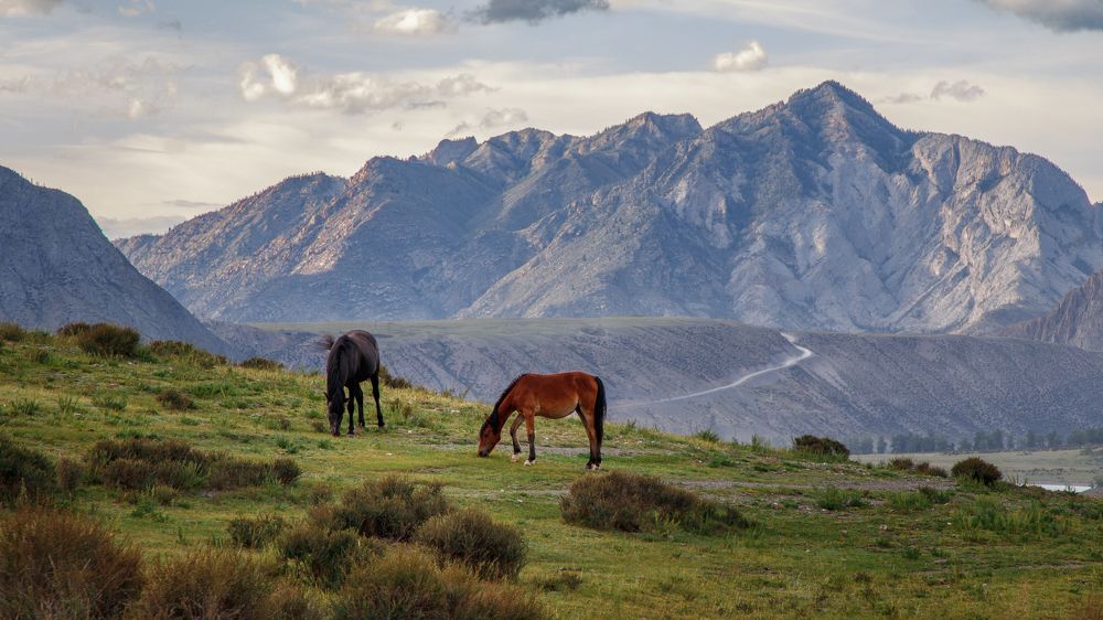 Photograph by Vyacheslav Bolyakin