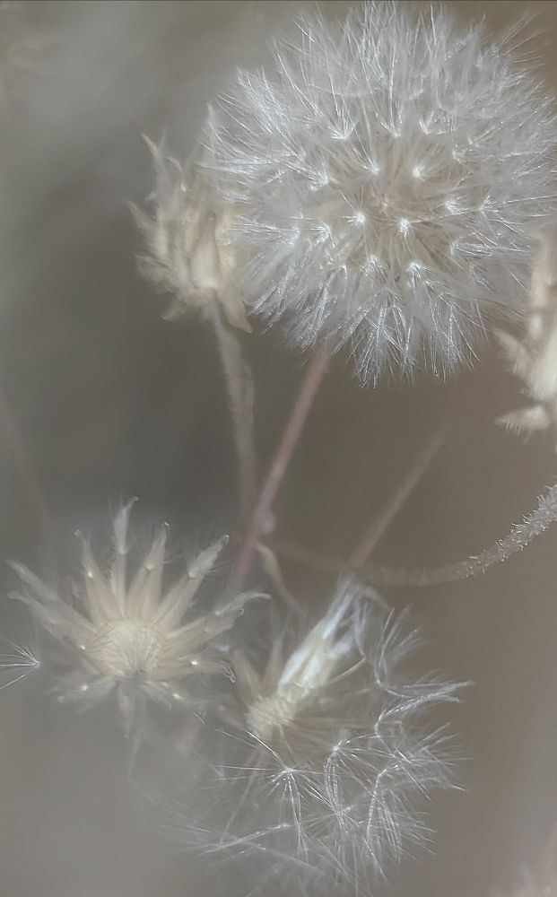 Photograph by Ирина Тихая