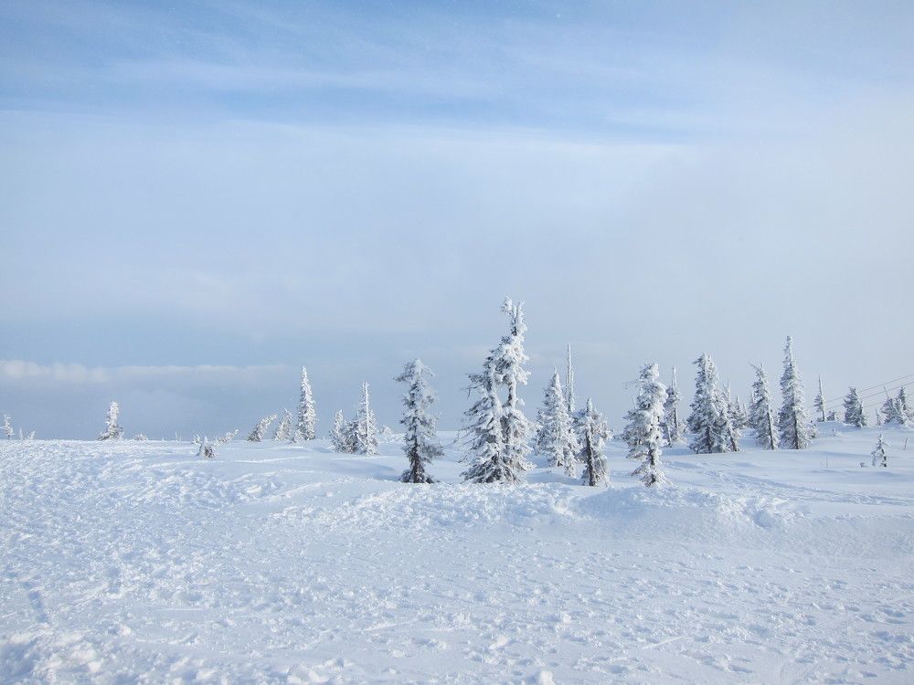 Photo #9473438