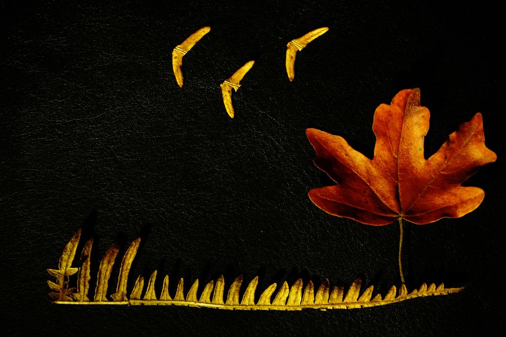 Photograph by Анастасия Морозова