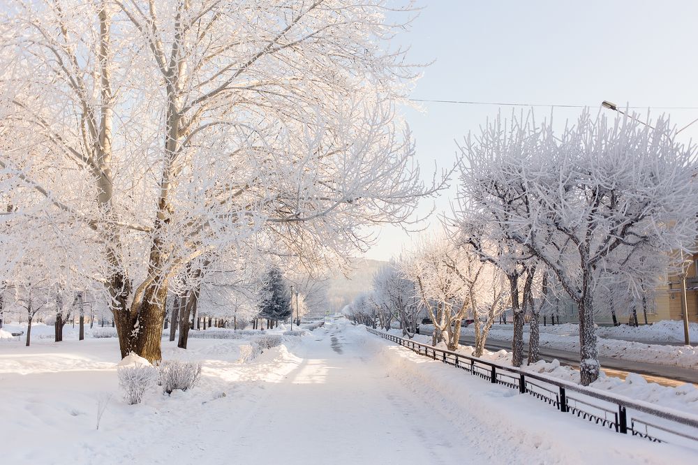 Photograph by Ольга Саламахо