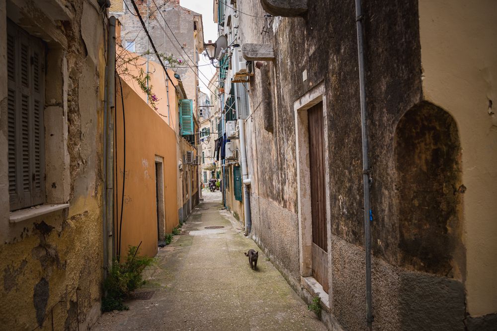 Фотография автора Елена Караилиева