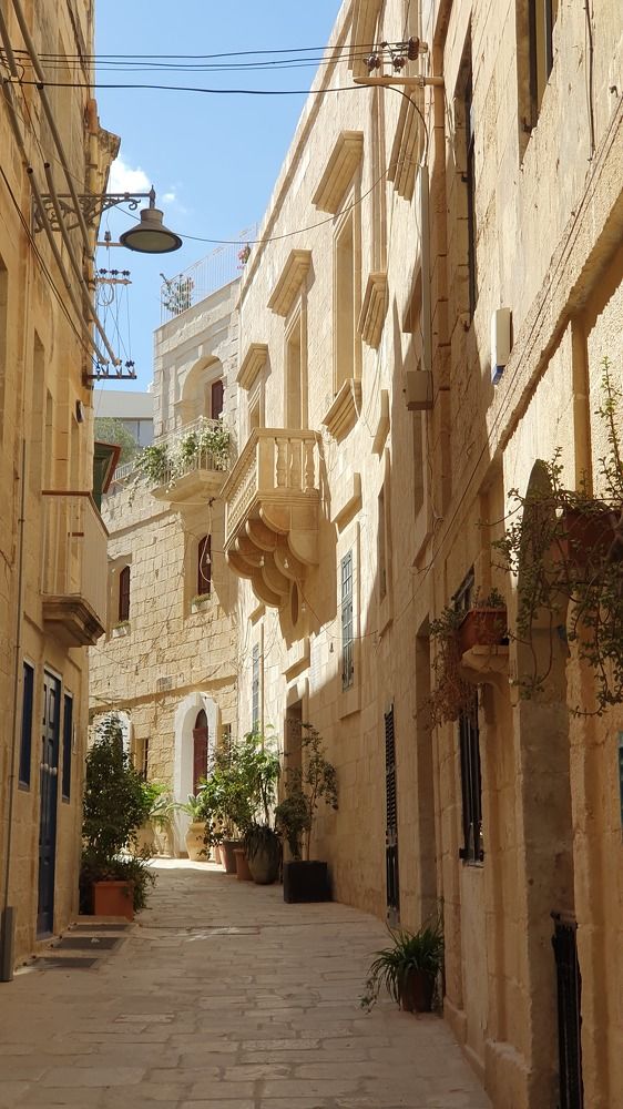 Фотография автора Angun Angusha