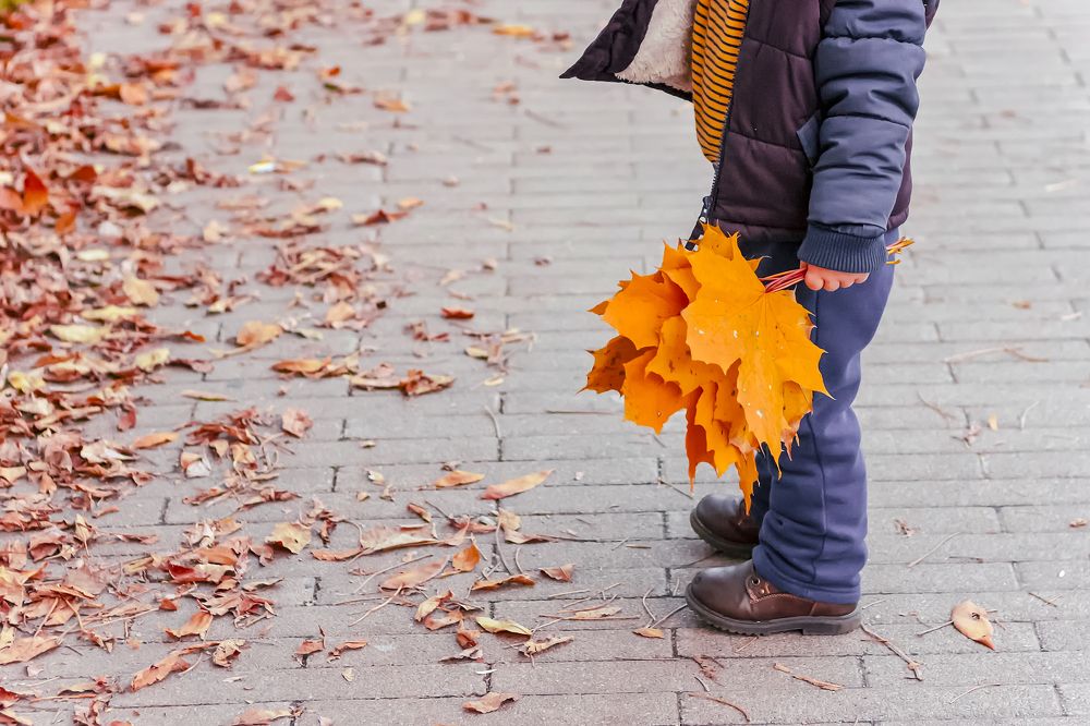 Photograph by Алина Лебедь