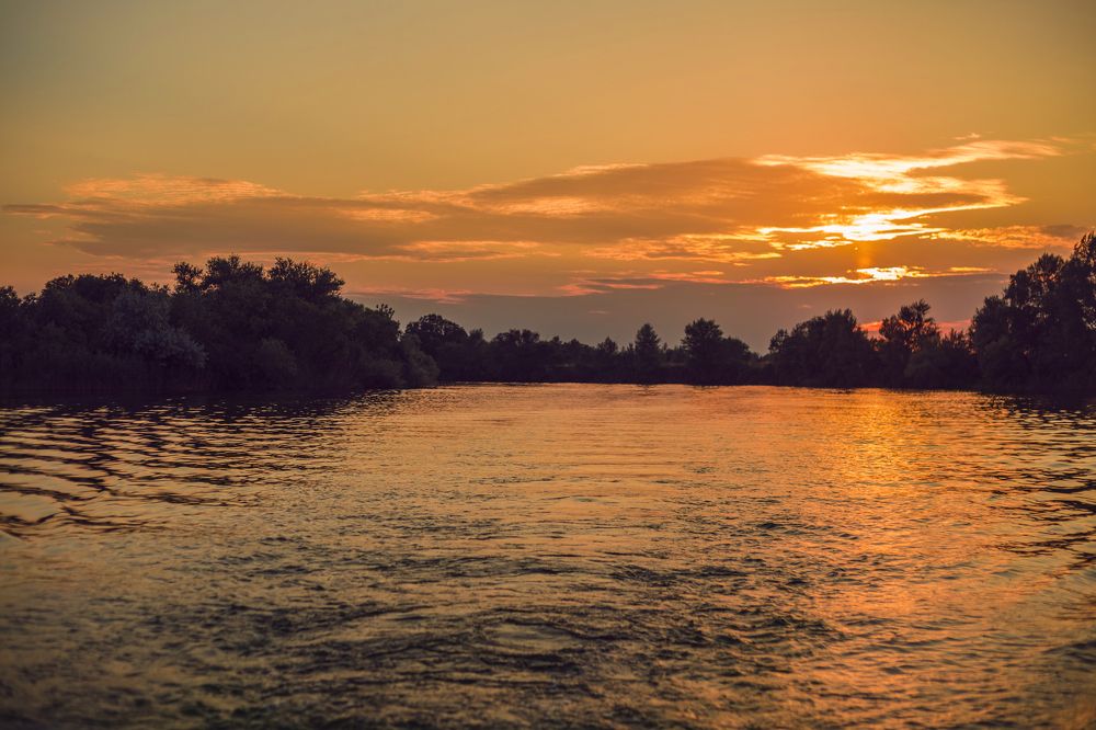 Photograph by Алина Лебедь