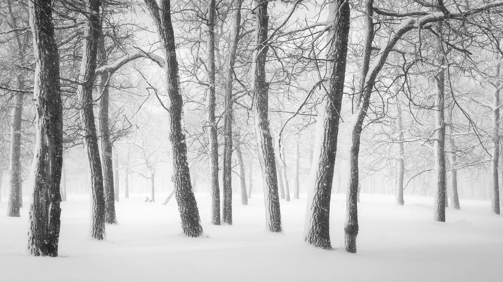 Photograph by Бирюкова Татьяна