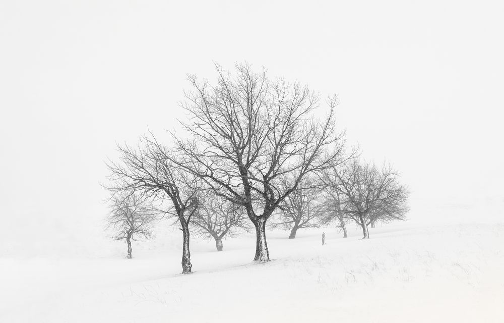 Photograph by Бирюкова Татьяна