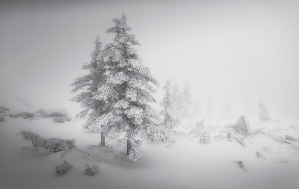 Photograph by Бирюкова Татьяна