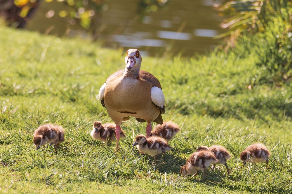 Photograph by Elena Levi