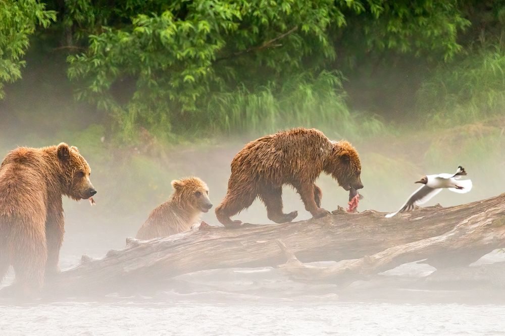 Photograph by Elena Levi