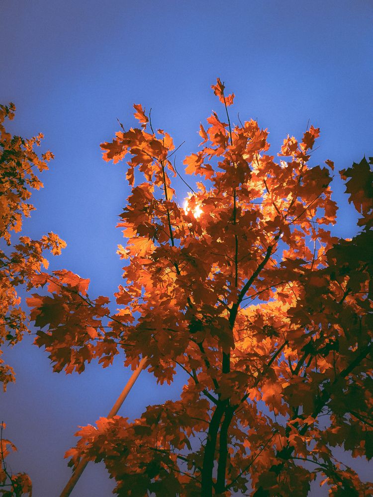 Photograph by Анна Данилина