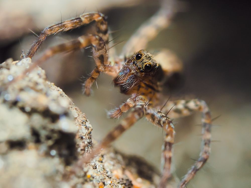 Photograph by Ирина Протченко