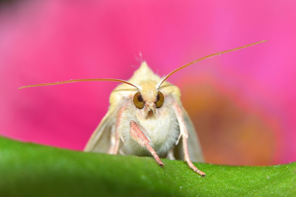 Photograph by Ольга Гоглова