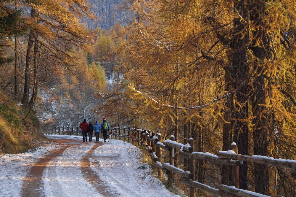 Photograph by Svetlana Rizzo