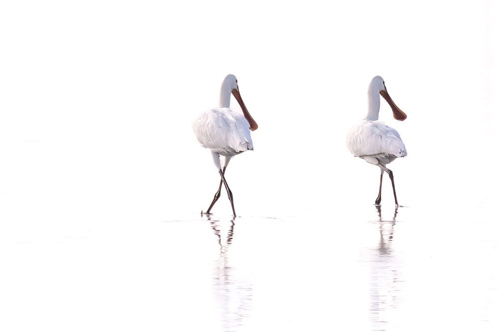 Photograph by Elena Levi