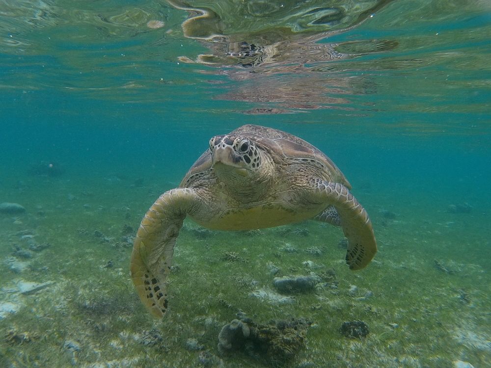 Photograph by Владимир